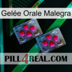 Gelée Orale Malegra 14
